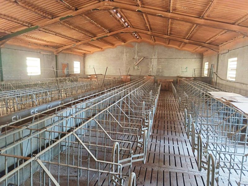 Foto 808a2e73-91ef-45e1-88f4-a1710fa51b40. Finca rústica en Navalucillos (Los)