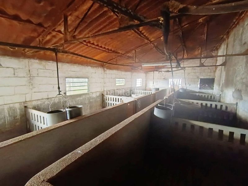 Foto 895798ad-b274-412e-9842-1e48a7d476f3. Finca rústica en Navalucillos (Los)