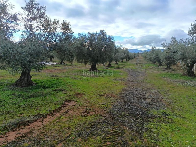 Foto 8c944b5a-2f45-409b-86f7-6fdf033df471. Finca rústica en Navalucillos (Los)
