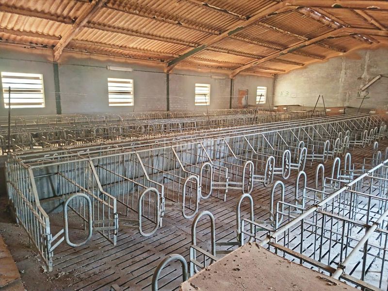 Foto c148415a-a6bb-42ba-b87a-e3c6f2d1ff50. Finca rústica en Navalucillos (Los)