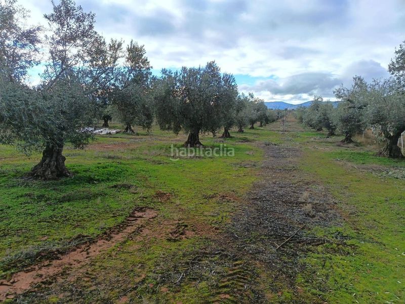 Foto cb7fee74-6b49-4873-adf2-2cc231611f17. Finca rústica en Navalucillos (Los)