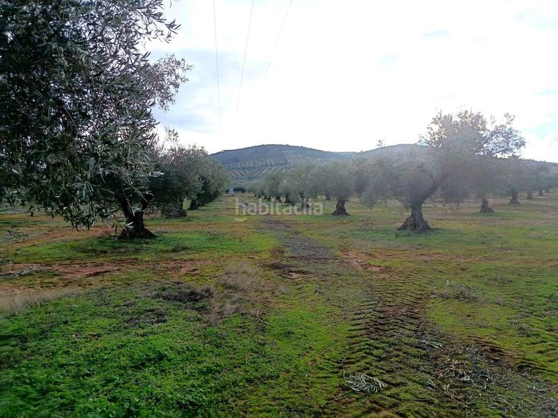 Foto d58eaa45-fac2-4ed0-8c48-459c5de3d26b. Finca rústica en Navalucillos (Los)