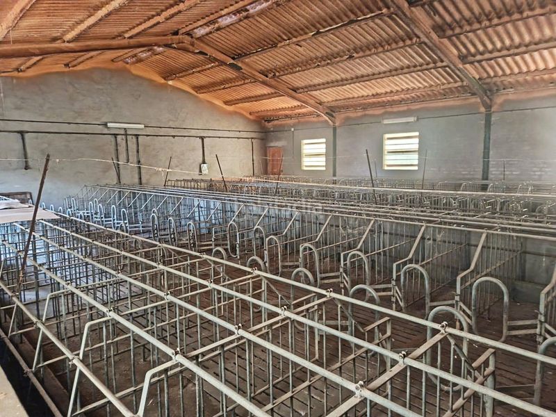 Foto edd8c0b3-fa41-4985-8e73-f37dfc56235c. Finca rústica en Navalucillos (Los)