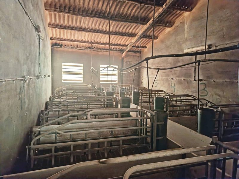 Foto ffa8eb54-754c-44e0-adb9-16260f2beb4b. Finca rústica en Navalucillos (Los)