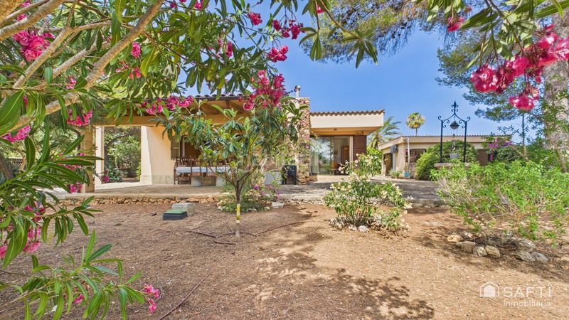 Foto cd49a880-fd06-4afb-96ef-52586b5426fa. Casa en Cales de Mallorca Manacor