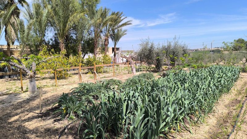 Foto 7de5a863-dfed-4377-abcd-b197e2dfaab8. Masia amb calefacció aparcament piscina a Cañada Hermosa Murcia