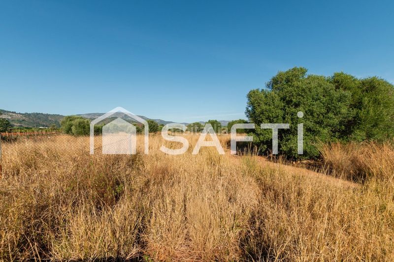 Foto 0f9d0df5-4675-46fc-af53-2501ebbbdf36. Finca rústica a Centro Oropesa del Mar