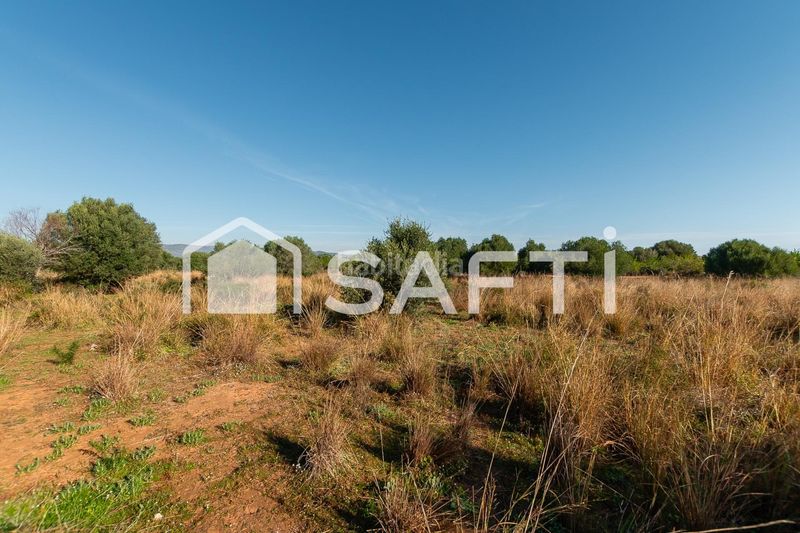 Foto 110d5353-992d-49ba-94f7-34b01656f2e5. Finca rústica a Centro Oropesa del Mar
