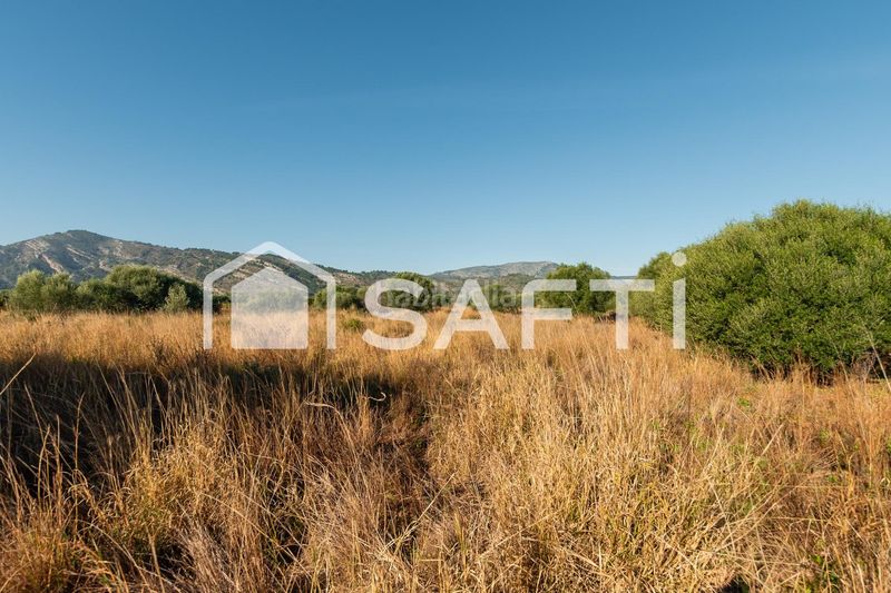 Foto 191184d0-f240-42e7-83dc-d73f40ac5221. Finca rústica a Centro Oropesa del Mar