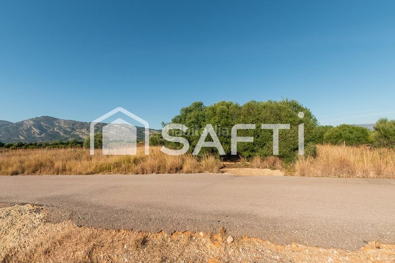 Foto 2346eb6a-9d1e-431a-868f-eaf415822312. Finca rústica a Centro Oropesa del Mar
