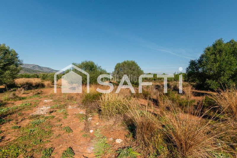Foto aebd51d4-87a6-4704-ab50-63a01719d722. Finca rústica a Centro Oropesa del Mar
