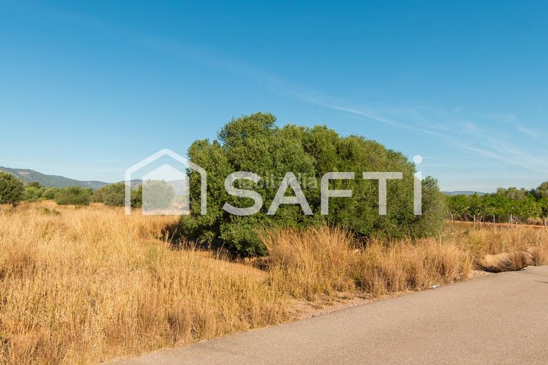 Foto e92fa5f4-1054-4768-96d1-2633eefd16e4. Finca rústica a Centro Oropesa del Mar