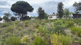 Terreny residencial a Bescanó
