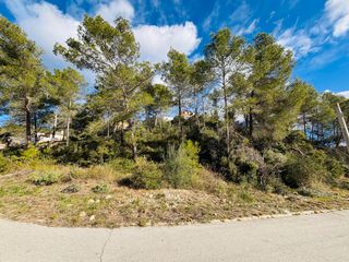 Terreno residenziale in Olivella