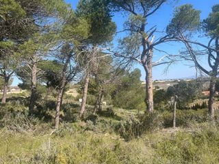 Rural plot in Almansa
