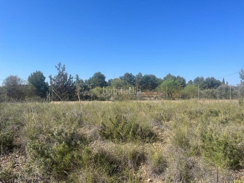 Foto 2f6cfdfd-a6dd-43f6-ba16-6498ccef44e1. Finca rústica a Almansa