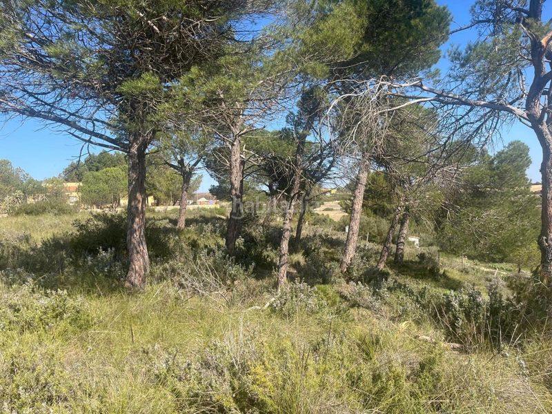 Foto 2fa9d38d-226e-491f-8231-b7785460ab75. Finca rústica a Almansa