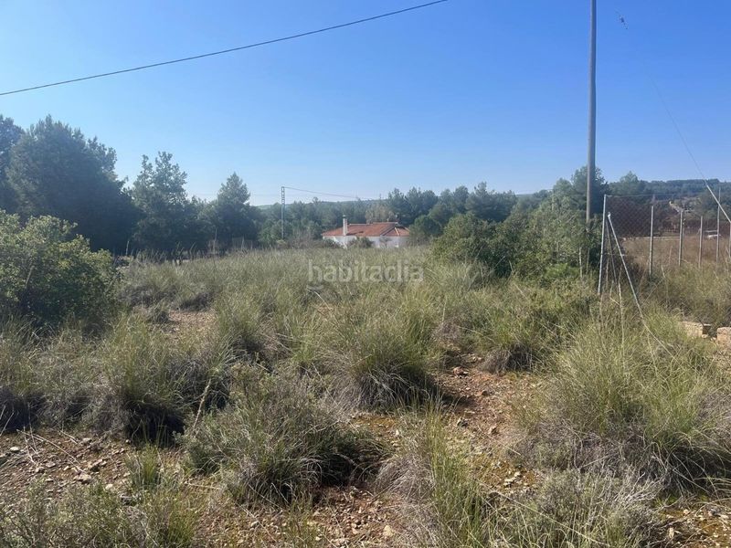 Foto 70a04c3d-1cef-4c1a-b456-455a7d529101. Finca rústica a Almansa