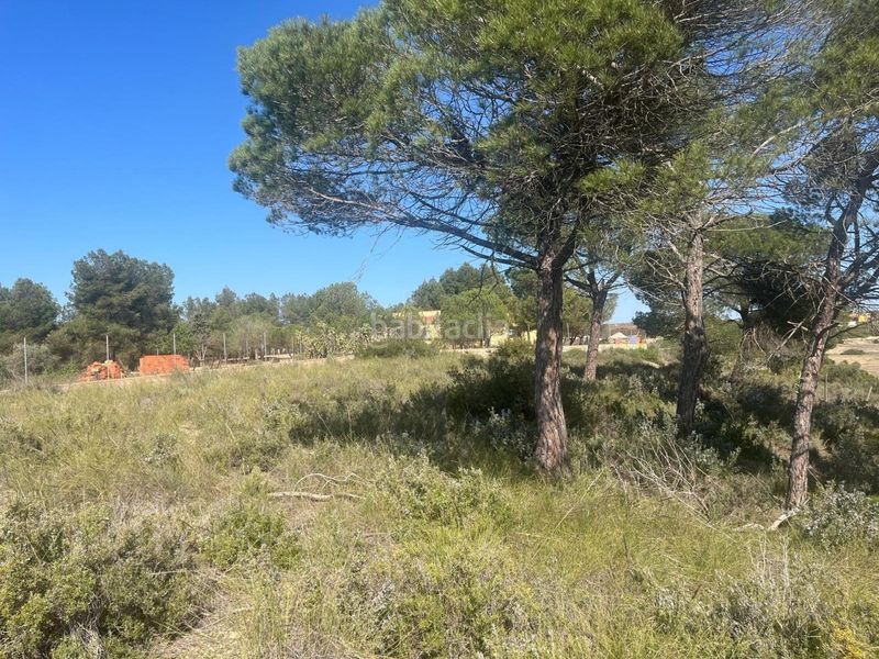 Foto 73ecd4d1-8f15-480d-8aa1-5d54ad3f450b. Finca rústica a Almansa