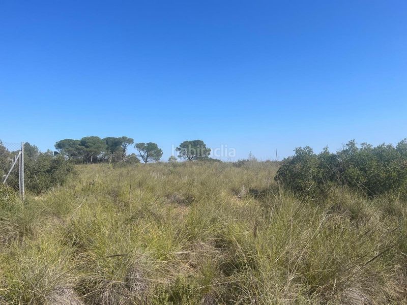 Foto a0849ad7-0132-4743-a73a-57d862ebad06. Finca rústica a Almansa