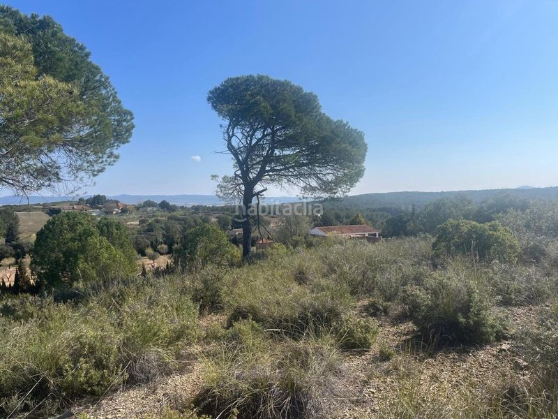 Foto a27e19b6-6712-4d98-915f-4cc56dddb188. Finca rústica a Almansa