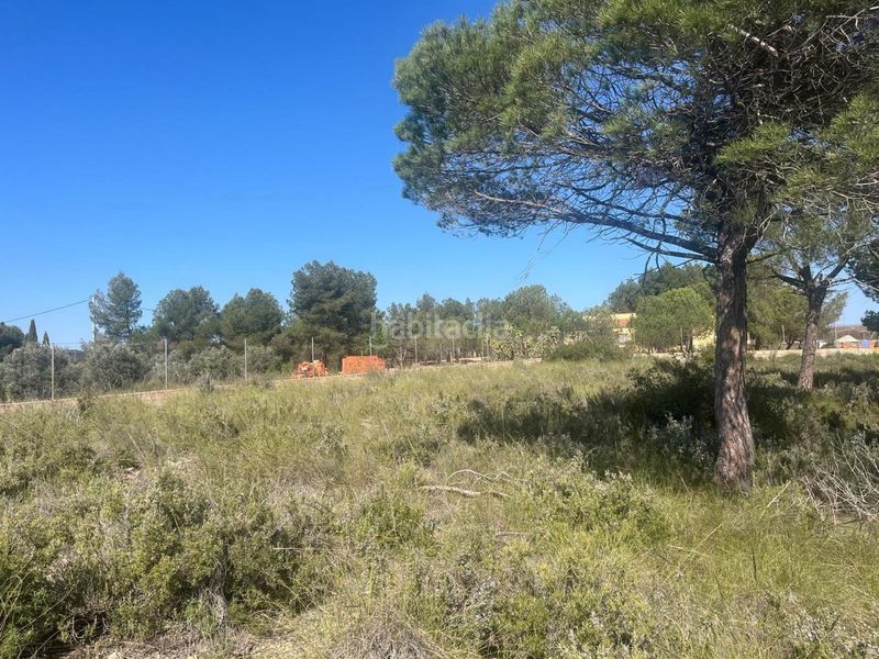 Foto a2eb1b56-7a79-46c6-9df1-d6d70ecc9e3c. Finca rústica a Almansa