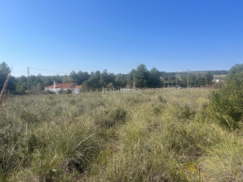 Foto dc7b64da-5e45-43a5-9e98-d80db310336e. Finca rústica a Almansa