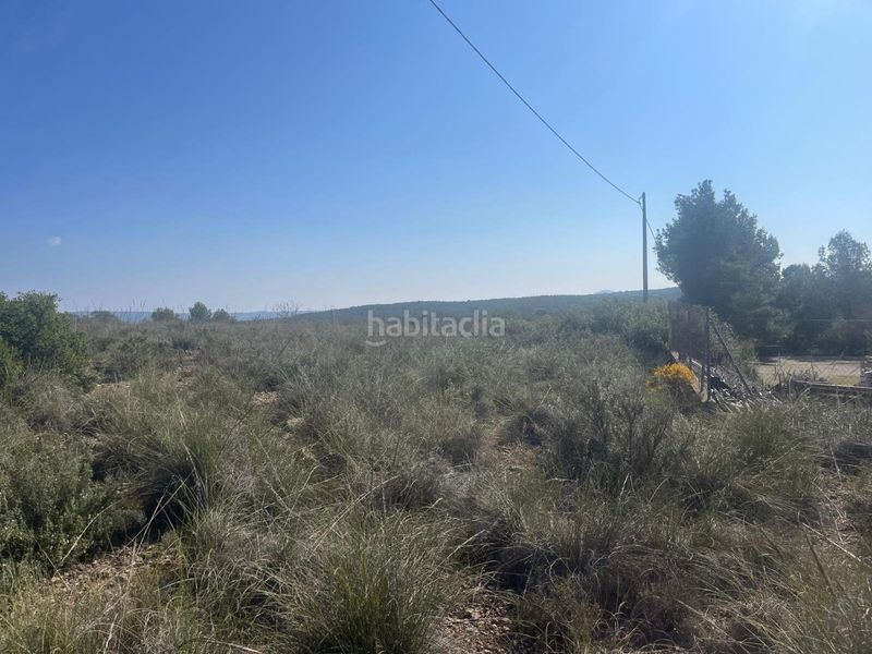 Foto dd8ba12c-19dc-4c8c-ace1-8d28598c88e4. Finca rústica a Almansa