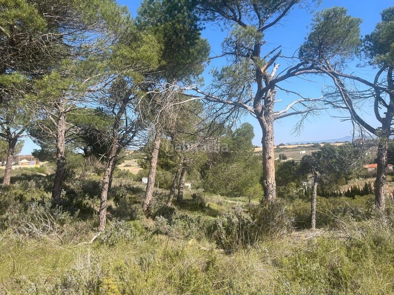 Foto 0f1c4750-4ebf-4568-ae46-92726b9a36f0. Finca rústica en Almansa