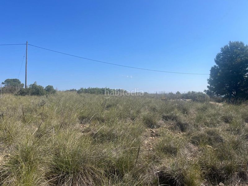 Foto 1840154e-6c15-4d9e-a3f1-4e7bc921e702. Finca rústica en Almansa