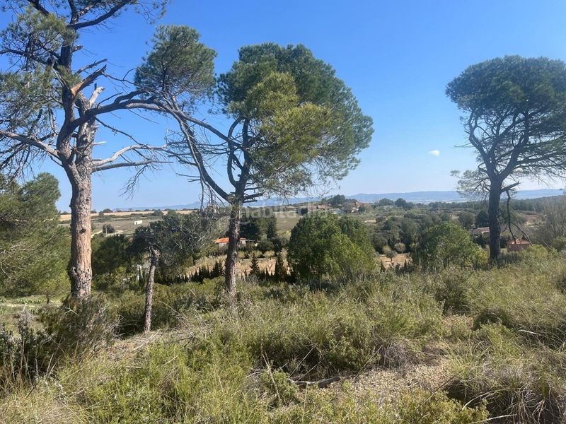 Foto 2242f19b-cd0d-481e-9ec7-a8dbf2e9673d. Finca rústica en Almansa