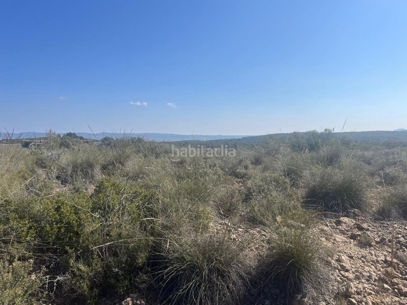 Foto 60e80c4e-5321-4a42-a11b-bd6c58f420ff. Finca rústica en Almansa