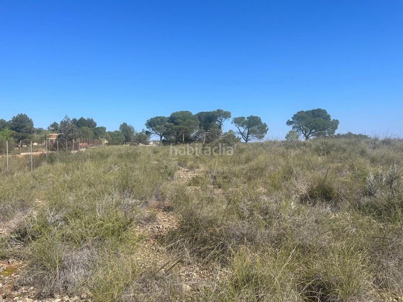 Foto 6465c63e-a876-4d77-b0de-3915d90edc8c. Finca rústica en Almansa