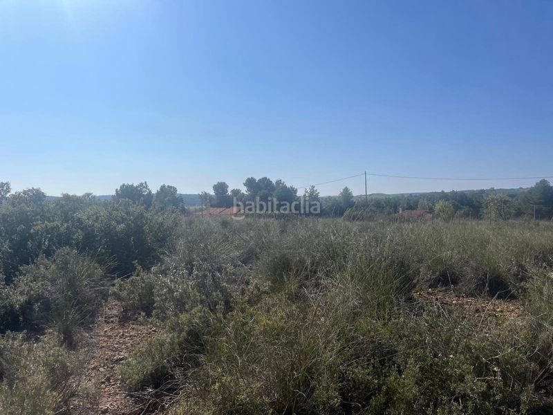 Foto 65634367-d43e-48f7-a9c3-c78ddc462036. Finca rústica en Almansa