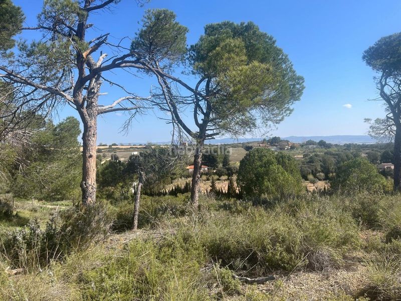 Foto f45b4c21-c68a-4c1b-9075-5afaa17808e9. Finca rústica en Almansa