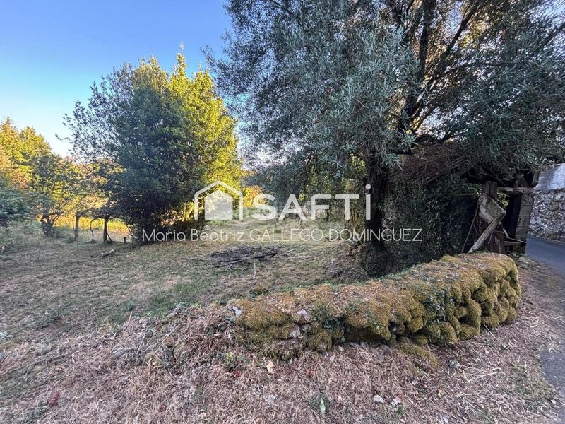 Foto b5f7503b-6b8f-4af5-ad9d-63881be4bcc5. Masia a Cañiza (A)