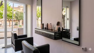 Local Comercial en Can Borrell
