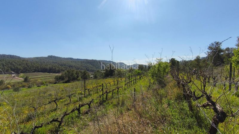 Foto 699e23fe-a3da-4497-baa8-a90c80fc4775. Finca rústica a Molar (El)