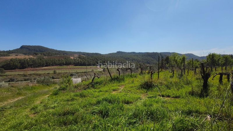 Foto 8f3e2fd2-a60b-4c99-bc22-df9568eb64a6. Finca rústica a Molar (El)