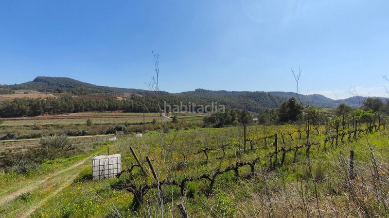 Foto d6432a65-5d7d-42a1-9065-3af9902fb58e. Finca rústica a Molar (El)