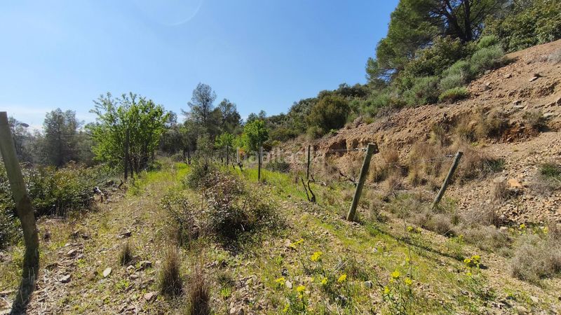 Foto d8f364b9-c7a6-4c18-b28d-a5eb93c72320. Finca rústica a Molar (El)