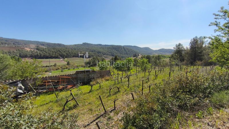 Foto 96474193-eb03-4fb9-875a-9ade58240e9c. Finca rústica en Molar (El)