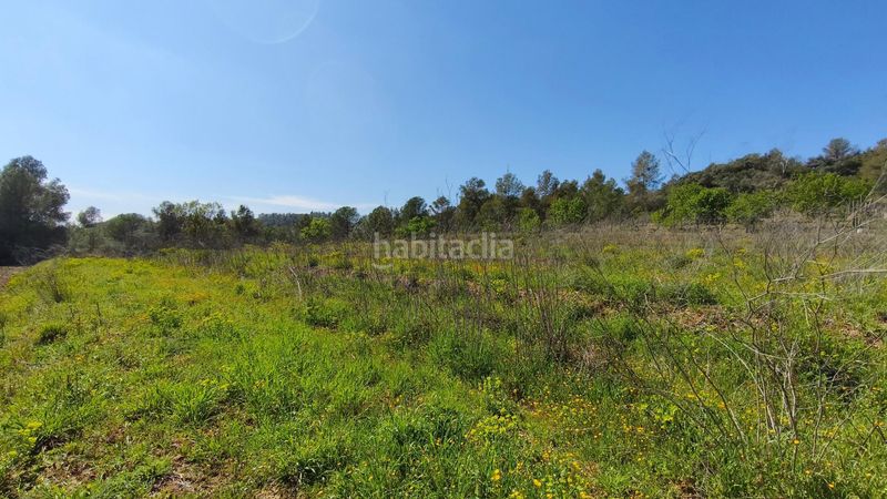 Foto ca1d88b5-ff42-4b00-b7d8-bff6e4ec57d3. Finca rústica en Molar (El)