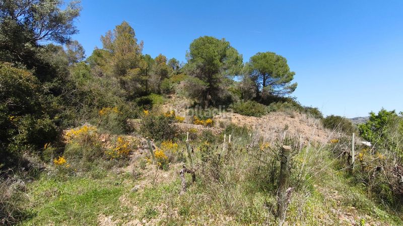 Foto ccf955f3-d1ef-44fd-b349-c824d7e03d0e. Finca rústica en Molar (El)