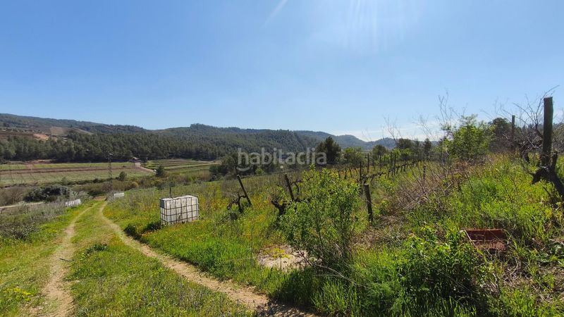 Foto d3f3f716-70f2-462a-9716-f1392106ea58. Finca rústica en Molar (El)