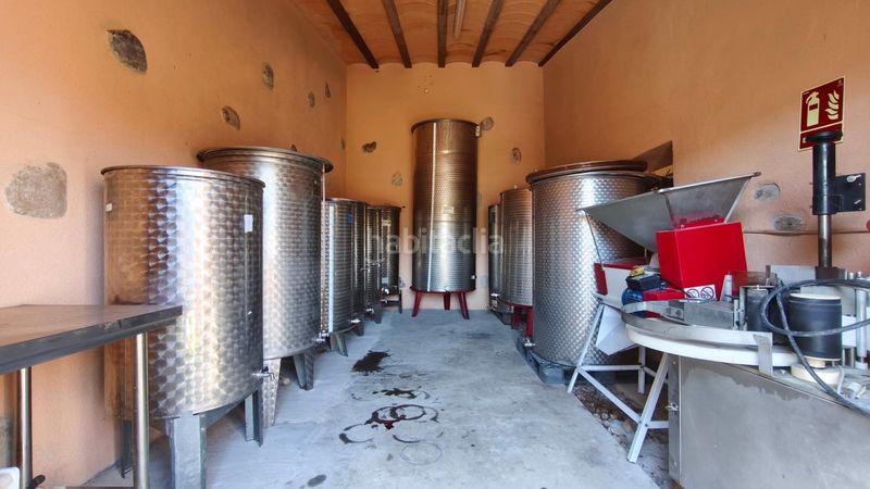 Foto d72ac828-b300-4087-85db-1c6de754abdf. Finca rústica en Molar (El)