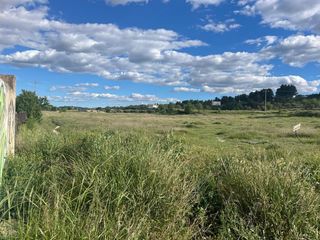 Residential Plot in Almansa