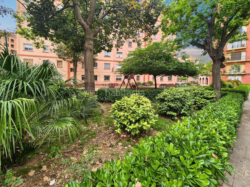 Foto cab4b2e9-4a98-493a-99bc-e174e2c29ddd. Pis a Tormos Valencia