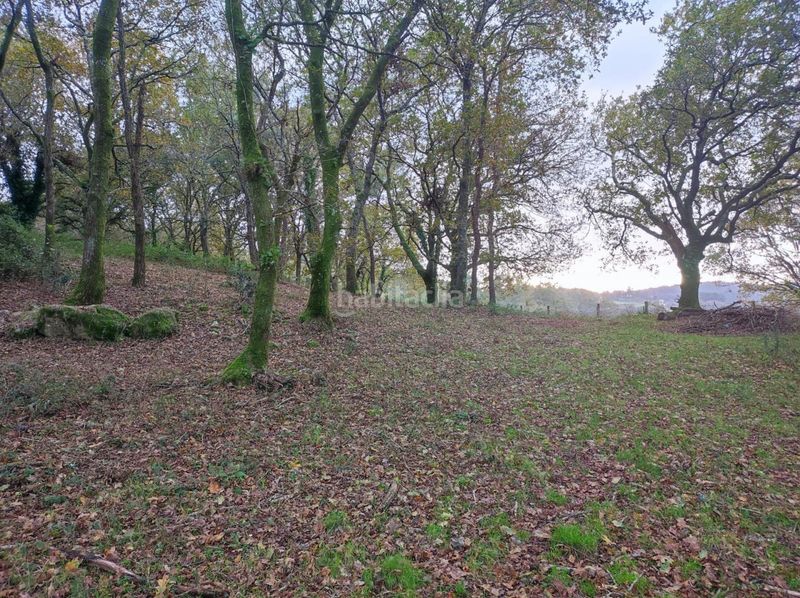 Foto 354403a9-309f-421b-98b0-6d746e6a17ee. Masia a Estrada (A)