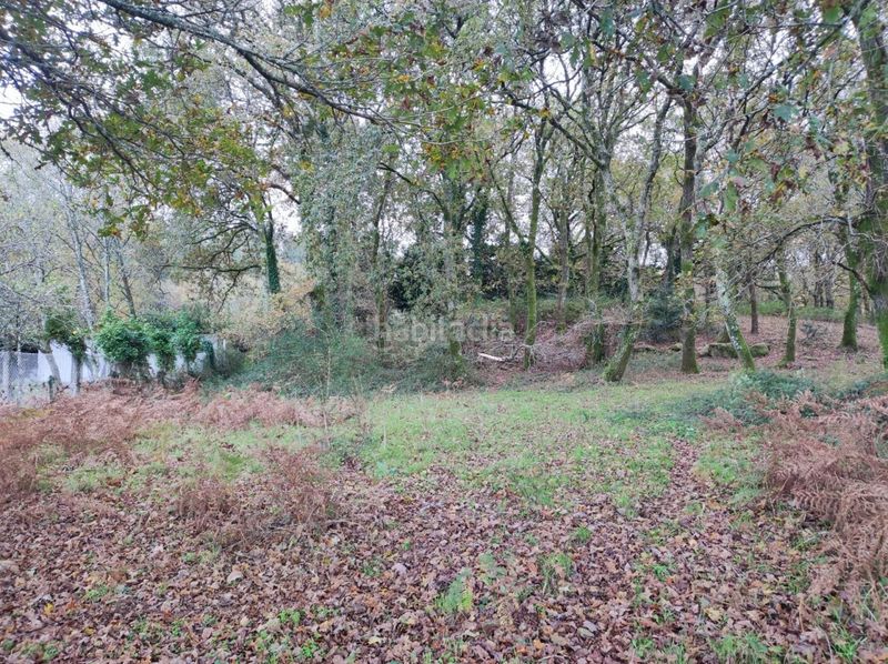 Foto 6e29e920-96f9-4321-b47c-b82b3c1c9096. Masia a Estrada (A)